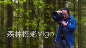 救援受困的老虎